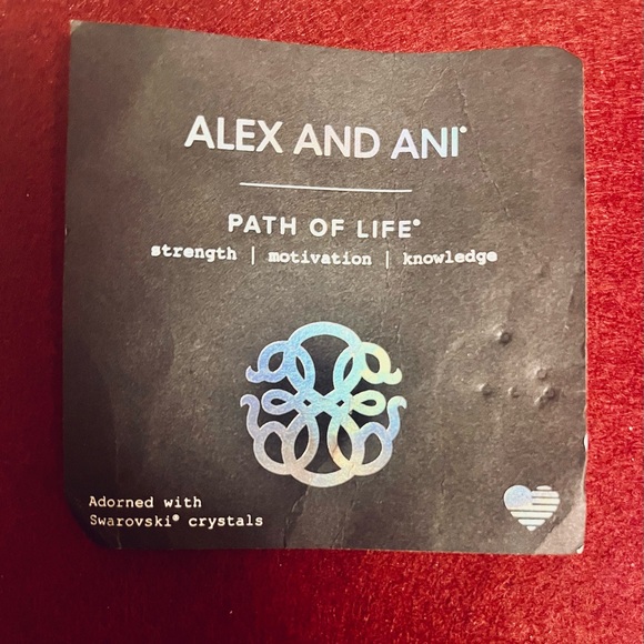 Alex & Ani NWT Rafaelian Silvertone PATH OF LIFE Ornament W/Swarovski Crystals - Picture 7 of 10
